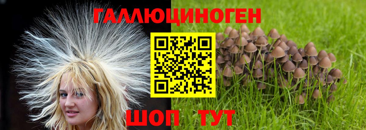 Псилоцибиновые грибы Cubensis  Вход с VPN  Курск  Галлюциногенные грибы Psilocybine cubensis 