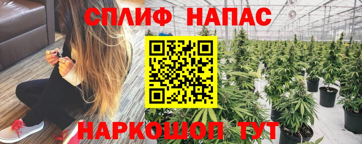 Каннабис Bruce Banner Курск